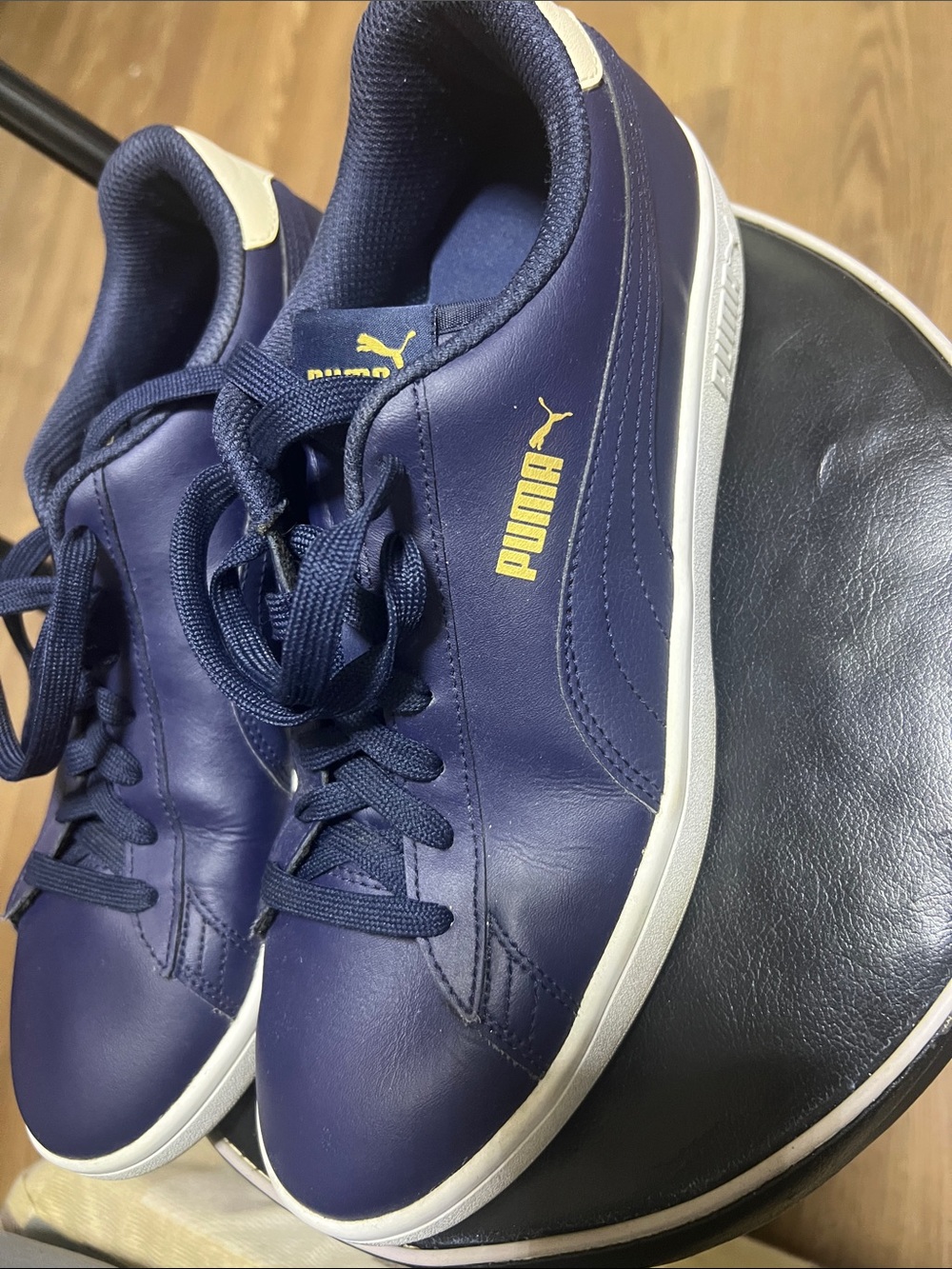 Puma